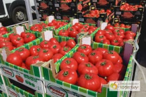 Pomidory i nowalijki na placu - zapraszamy na zakupy