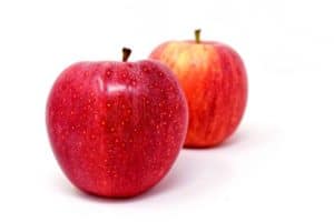 Największy wybór jabłek w Małopolsce